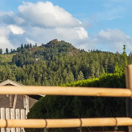 Am Silberbergblick Apartment *